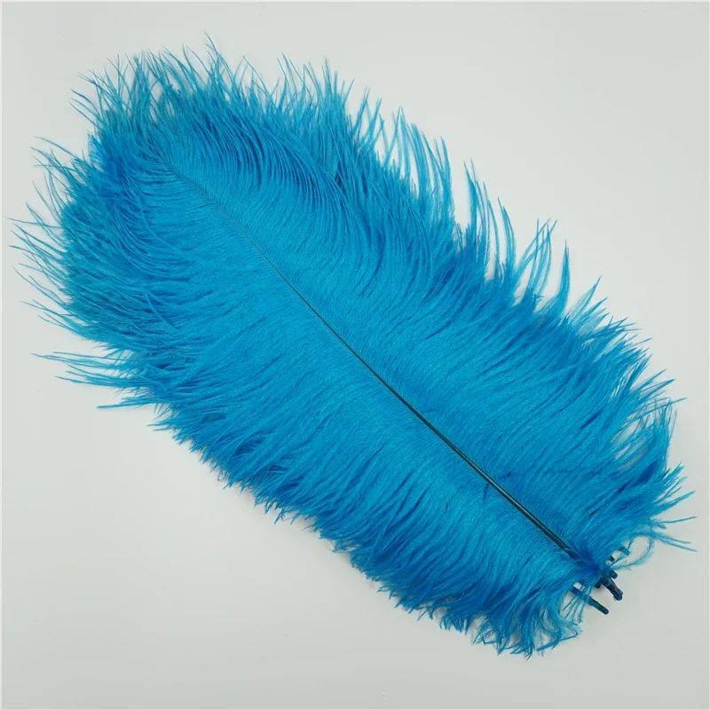 Fai da te 10 pezzi di piume di struzzo colorate da 20-55 cm, adatte per centrotavola nuziali, maschere di carnevale, decorazioni artigianali e wi
