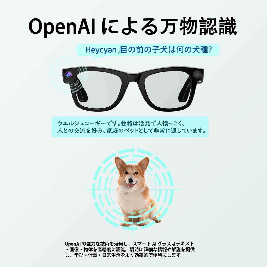 ERVPES G300 Niebieskie Inteligentne AI 8MP 30MP 1080P 22 Języki Podwójne HIFI Ochrona przed Niebieskim Światłem Unisex Okulary Audio Odpowiednie do Outdooru i Dojazdów (L)