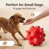 Pet Toys Elastic Bite-Resistant Rubber Dog Chew Toy with Built-In Sound Thorny Ball for Teeth Cleaning Interactive Tug-of-War Play for Small Medium
