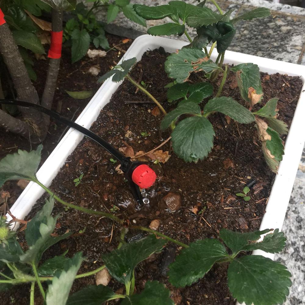 Ośmiootworowa Czerwony Kapturek Regulowana Głowica Kroplująca Mikrozraszacz do Nawadniania