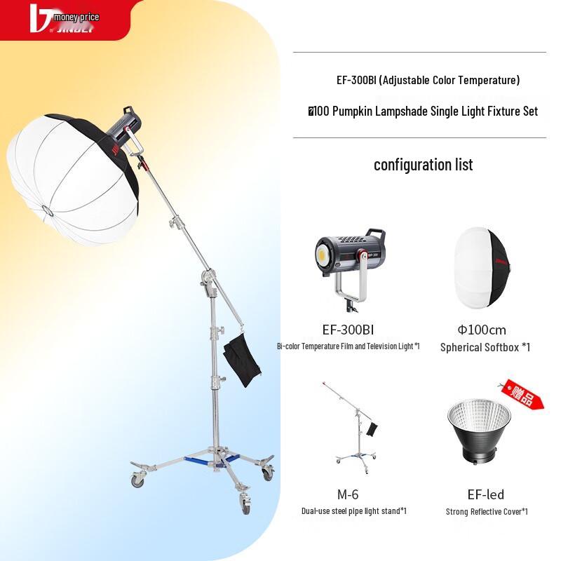 JINBEI EF-300BI Bi-Color LED Video Light Kit with 100cm Spherical Softbox