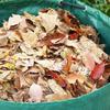 1pcs Garden Leaf Bag Large Capacity Yard Leaf & Branch Storage Bag Debris Organizer Trash Bin for Outdoor Gardening 80x100cm