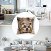Rock Hyrax Animal Pillow Case Short Plush Pillow Covers Sofa Decorative Gift Home Double-sided Printing Cushion Cover