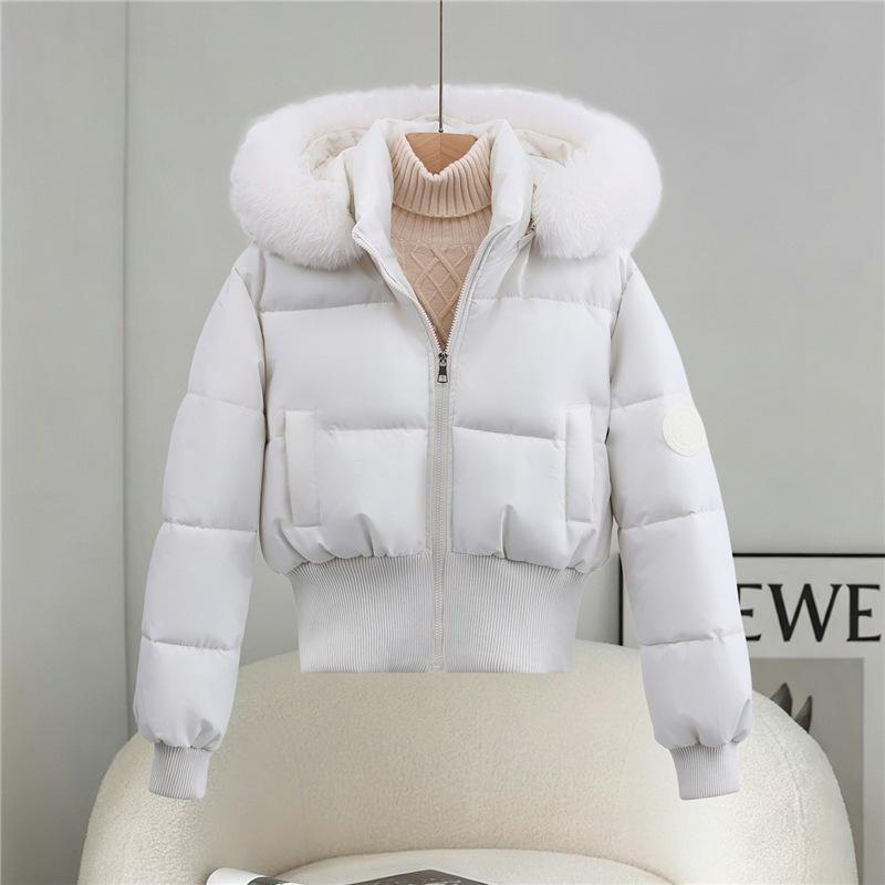 Simple Hooded Fur-neck Cotton-padded Clothes for Women's Short Short Men, Thickened Warm Waist Cotton-padded Clothes.
