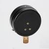 LANL Li Y100 Pressure Gauge (CN version)