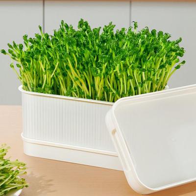 Ghivece de flori și coșuri – Containere pentru răsad