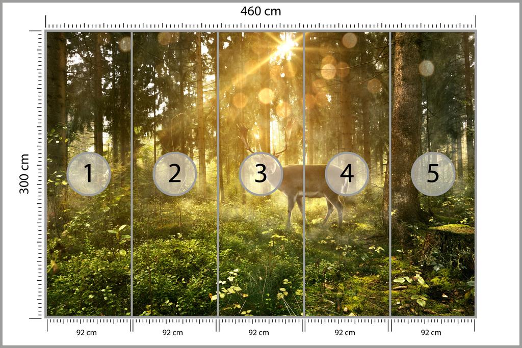 Photomural Deer In The Forest In The Morning Smooth Vinyl 460x300