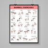 3Pcs Home Workout Poster Set with Dumbbell Bodyweight Barbell Exercises Full Body Strength Training Guide for Beginners Advanced Laminated Fitness