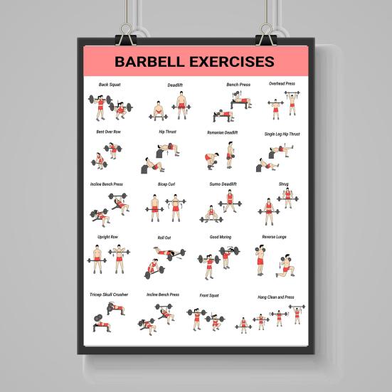3Pcs Home Workout Poster Set with Dumbbell Bodyweight Barbell Exercises Full Body Strength Training Guide for Beginners Advanced Laminated Fitness