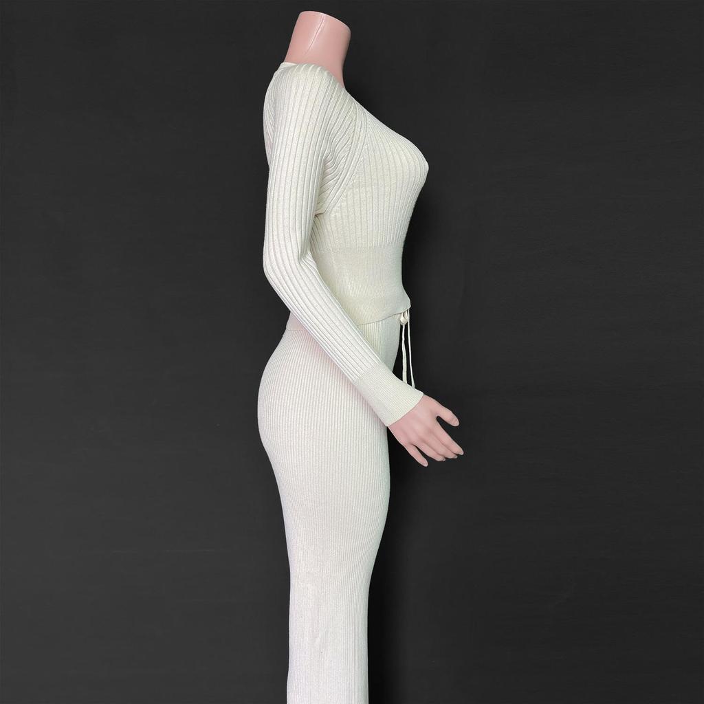 Toamnă Iarnă Femei Gâtul O cu mânecă lungă Culoare uni Pantaloni cu picioare largi Toate se potrivesc cu costume din două piese