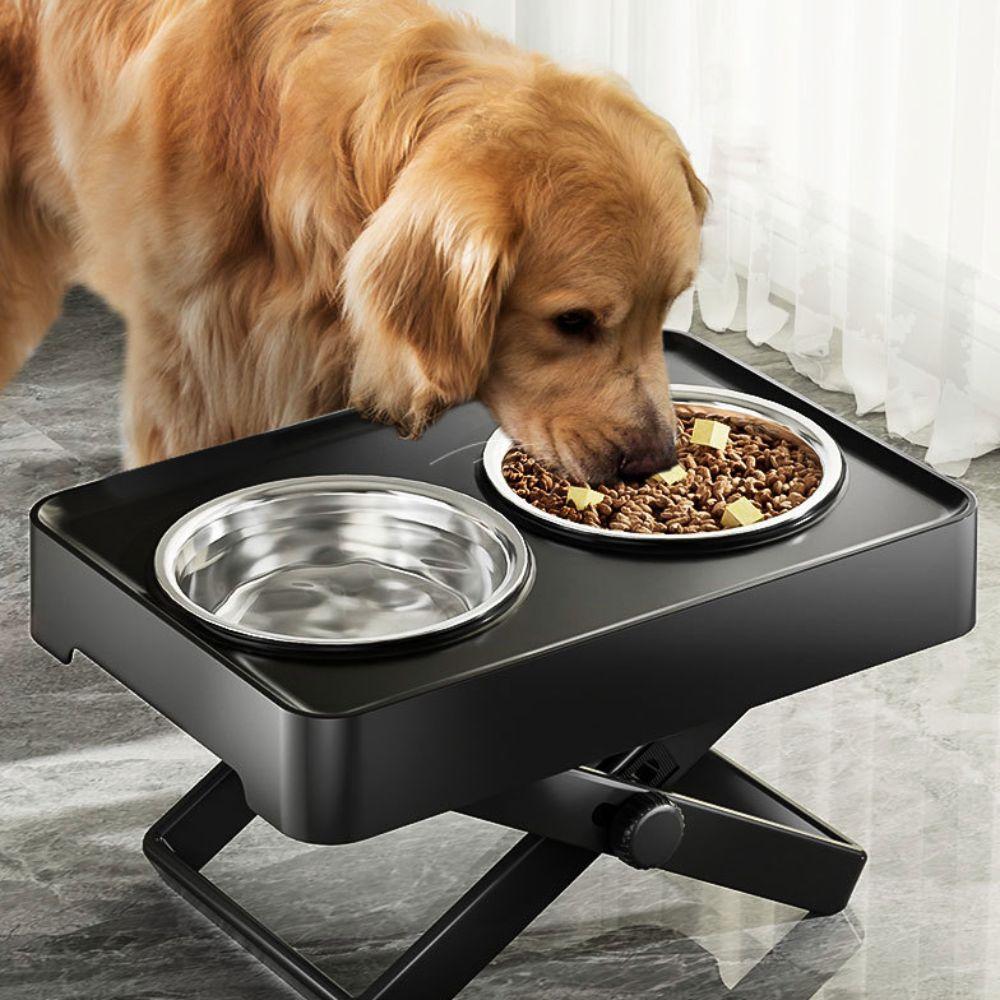 Spill-proof Dog Feeding Bowl Adjustable Height Dog Watering Bowl  Medium To Large Dogs