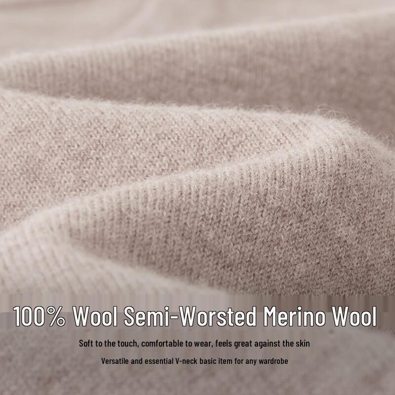 Shanshan Men's V-Neck Wool Blend Sweater