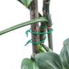 KADAX TPR Plant Twist Band 8m green