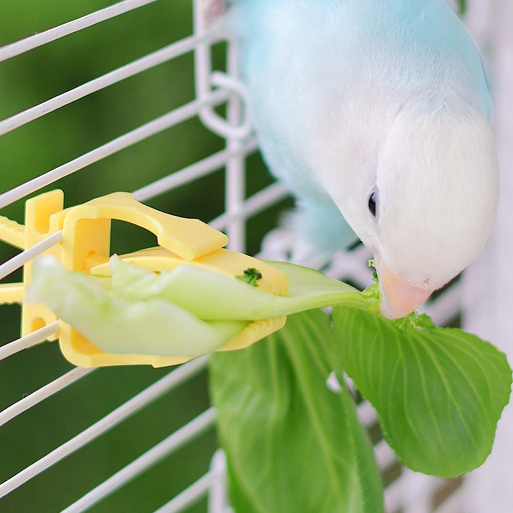 2/4pcs Set Pet Bird Food Holders Parrot Fruit Vegetables Clip Cuttlefish Bone Feeder Device for Pet Parrot Bird Cage Accessories