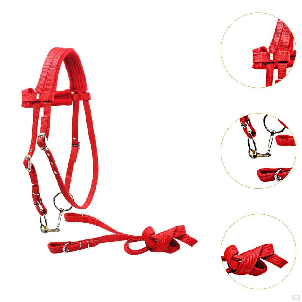 Adjustable Bridle with Rein Halter And Side Pull Reins, Leading Rope Headstall Gear
