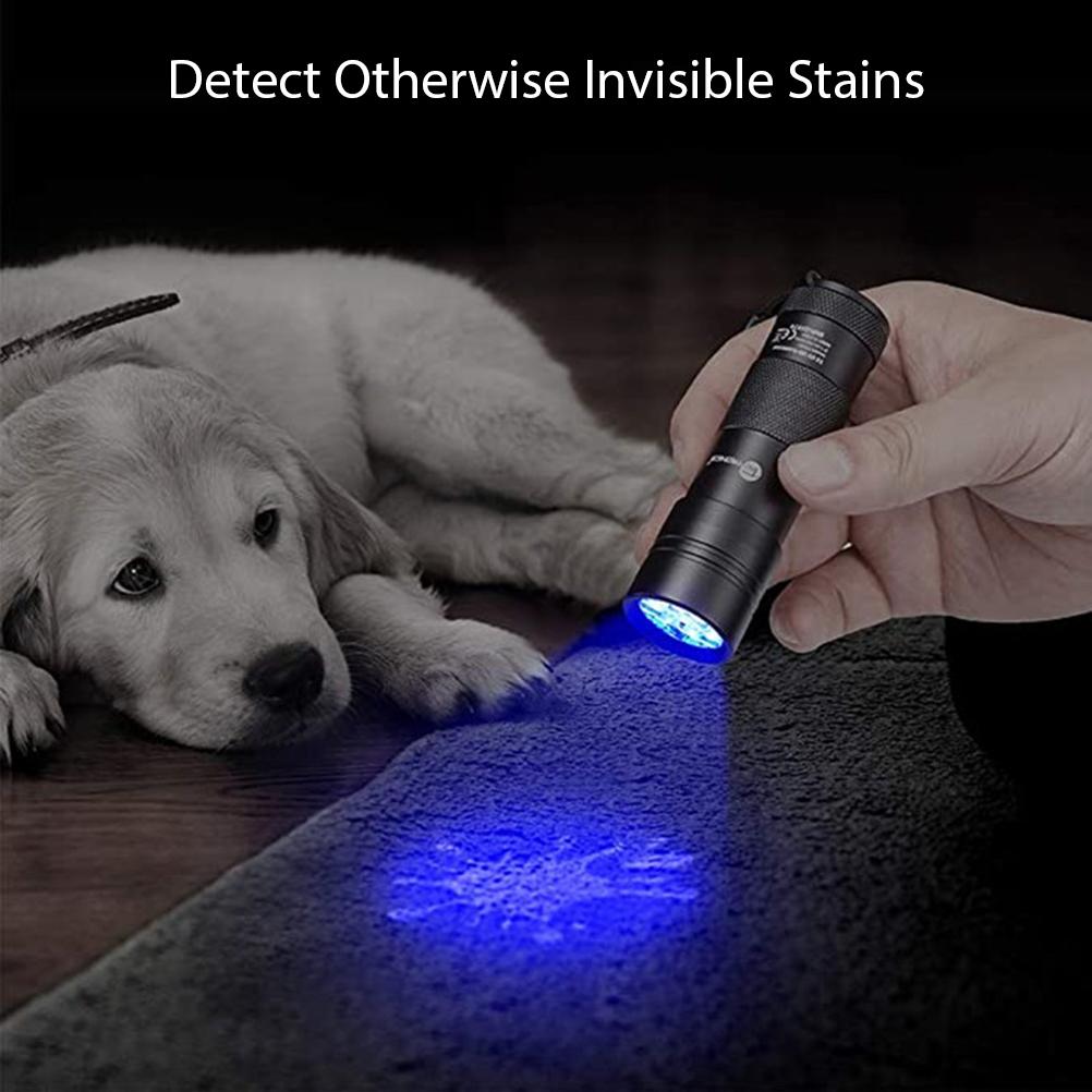 UV Flashlight Pets Blacklight Dogs Cats Urine Detector Ultraviolet Flashlight Dry Stains on Clothes