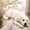 Absorbent Animal Floor Rug Diatomite Pet Doormat Durable Dog Print Door Mat  Bathroom