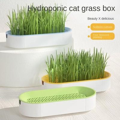 Creștere Germinare Cutie de iarbă pentru pisici Cultivare hidroponică Cutie de creștere Nouă vas de creștere pentru germinare