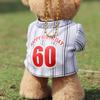 Petit Lou Baseball Longevity Bear 4S 12cm Size (70th Birthday, Normal)