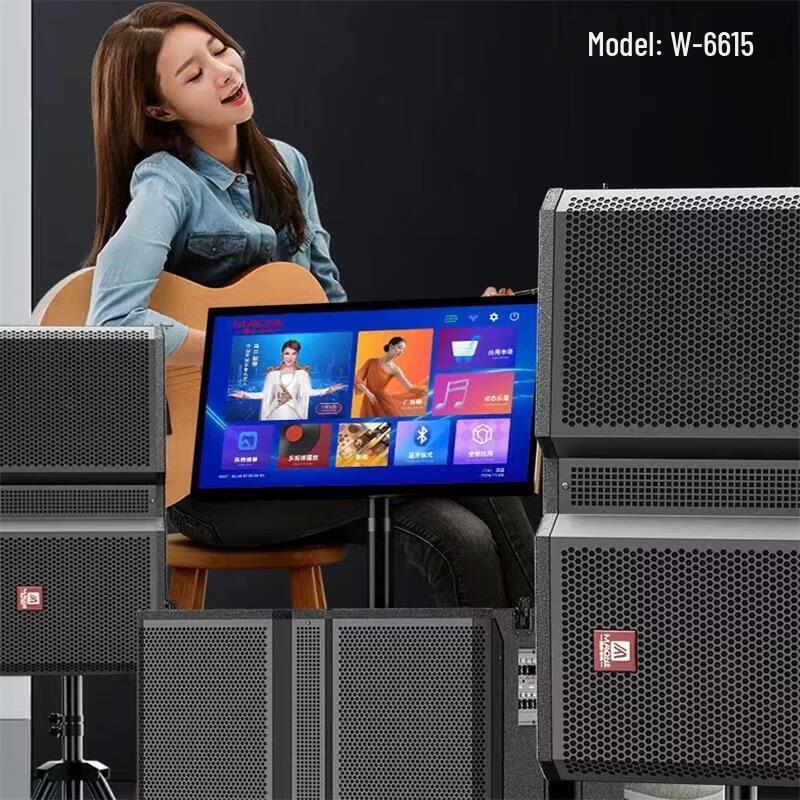 MALONE Outdoor Portable KTV & Stage Speaker System (CN Version)