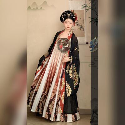 Chinese Tang-dynastie stijl borsthoog pak groot mouwen shirt complete set Hanfu