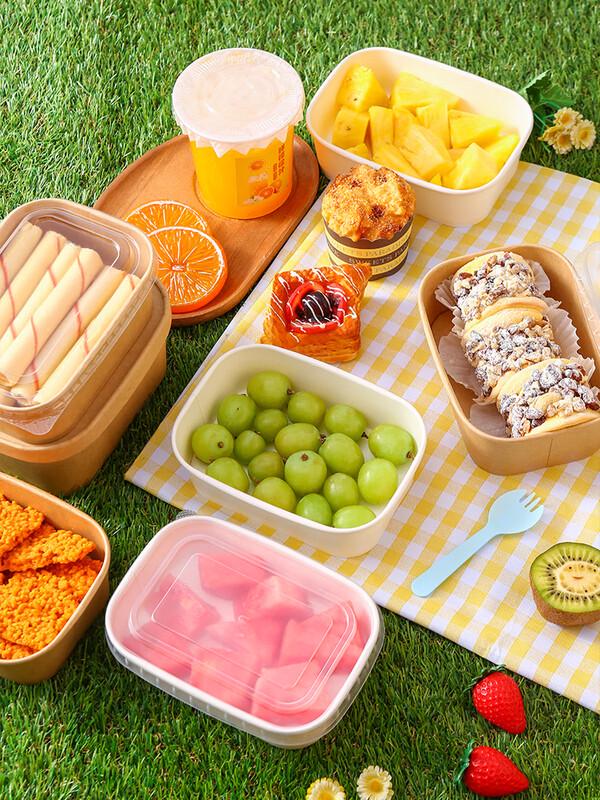 Disposable Bento & Takeaway Boxes with Lids