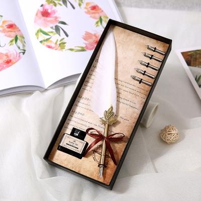 Quill Pen and Ink Set Feather Fountain Dip Pen with Replacement Nibs Calligraphy Writing Vintage