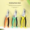 Powerful Cross-Border Pruning Shears for Tree and Branch Maintenance In Gardens and Orchards