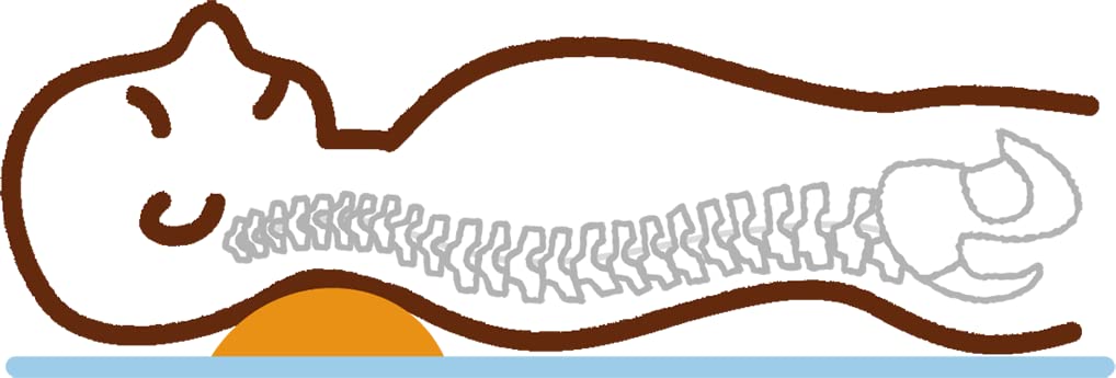 EXGEL Shaved Pillow Beige W300 x D140 x H70 Size (mm), Weight Approx. 0.9kg