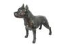 Staffordshire Bull Terrier, Staffik, Staffi I - Statuetka Psa W Naturalnym Rozmiarze, Figura W Skali 1:1, Posąg Do Ogrodu Marki Art-Dog