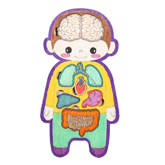 

Игра-головоломка «Внутренние органы человека», обучающая структура человеческого тела, анатомическая головоломка, детская игрушка для малышей из дерева, обучающая игра STEM Sets