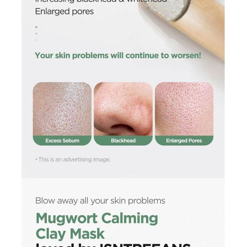 ISNTREE Mugwort Calming Clay Mask