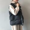 Cotton Clothes, Vest Women's Short Thickened Loose Vest, Autumn and Winter New Student Style Fashion Vest