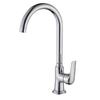 TLXT Hot & Cold Kitchen Faucet