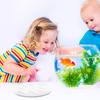 18Cm Round Acrylic Aquarium Cover Anti-Jumping Fish Tank Lid Clear Secure Fit for Turtle Shrimp Reptile Tanks Indoor Aquatic
