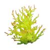 Water Plant Tree for Fish Tanks Aquarium Decorations Beautiful Appearance Artificial Plant Tree Multicolored Coral