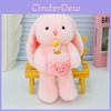 Plush Rabbit Doll With Holding A Cake Design For Kids Gift And Collection