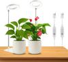 Xiaomi Dual-Use Ring Grow Light Plants USB Full Spectrum Indoor Greenhouse Succulents Led Grow Lighting 4/8/12/18Hours Auto Timer