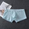Men'S Underwear Ultra-Thin Lace See Through Lingerie  Low-Rise Youth Boxers Sissy Pouch Panties Transparent Bikini Slip Homme