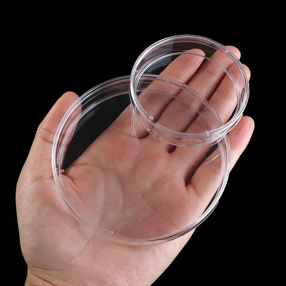 55x15mm Plastic with Lids Bacteria Culture Dish Petri Dishes Sterile Petri Dishes Clear Petri Dish