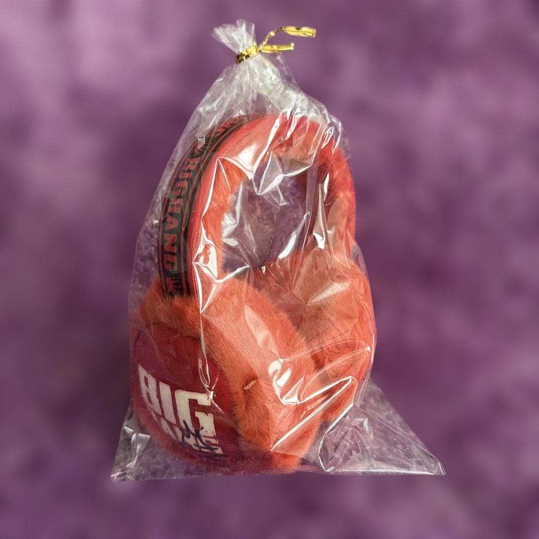 

[Б/У] Наушники BIGBANG (красный)