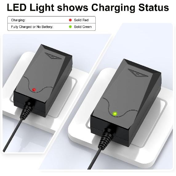 NASTIMA 6V LiFePO4 Battery Charger, 7.3V 1A Smart Charger for 6V Lithium Iron Phosphate Battery with Red and Black Clips and LED Indicator Light