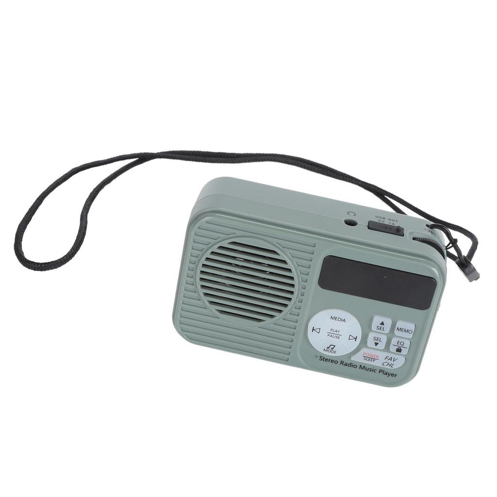 Retro Bluetooth Radio High Sensitivity Backlit Display DSP Wireless Vintage Small Speaker with
