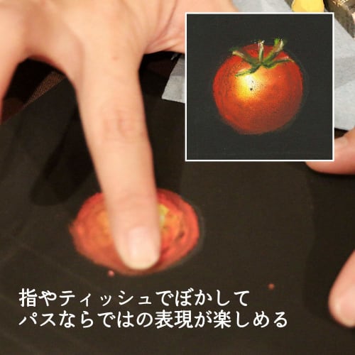 Pentel Crayon Professional Pass PTA-50D 49 colors (2 white)