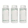 Innisfree Zielona Herbata Hialuronowa Skóra 170ml