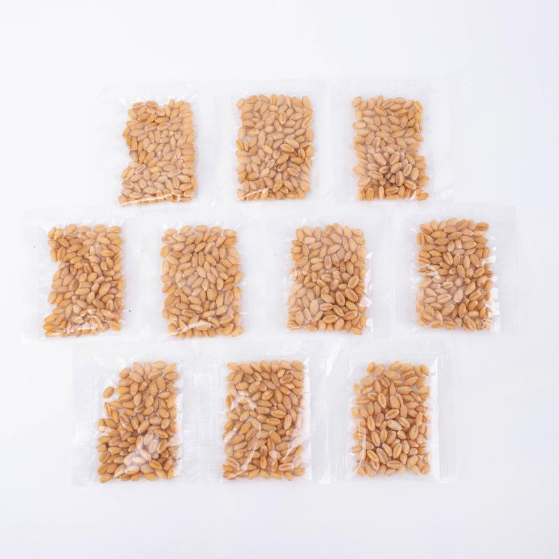 Hydroponic Cat Grass Set: Catnip Planting Box for Pet Snacks