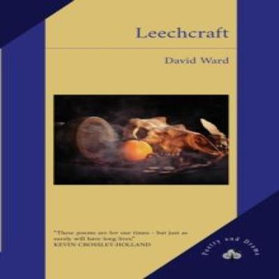 Leechcraft by David Ward Paperback Book 9781739323950