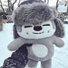 23-50cm Plüschtier Wolfchan Kawaii Cartoon Stofftier Plüschtier Puppe Große Größe Stray Kids Plüsch Schlafkissen Geschenk