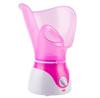Cross-Border Exclusive Aromatherapy Facial & Nasal Steamer Hydrating Humidifier