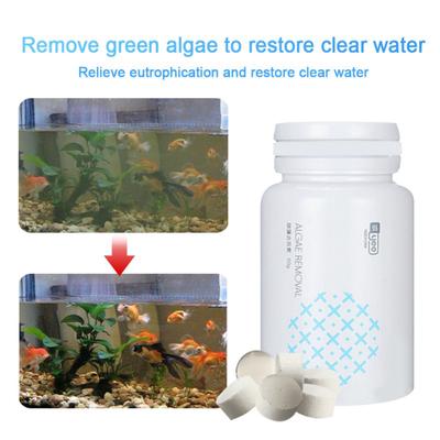 algae tablets for fish tank